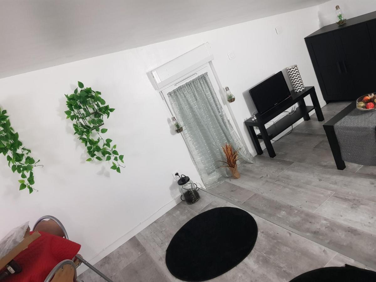 Appartement Cocooning Auterive Auterive  Exterior foto